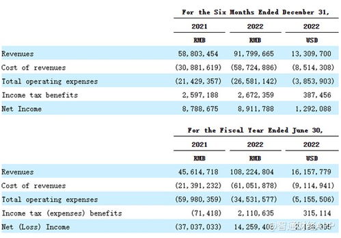 重銷售輕研發(fā)，致保科技赴美IPO成長性迎考，單一業(yè)務(wù)依賴風(fēng)險凸顯