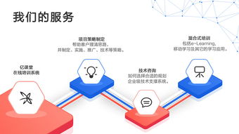 藍色商務 引領未來的電子商務技術服務商